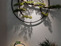 -中和·国风茶馆(愚园路店)