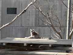 -太原动物园