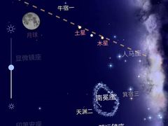 -西双版纳原始森林公园