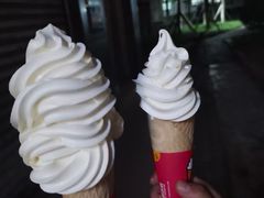 -蜜雪冰城(大智路店)