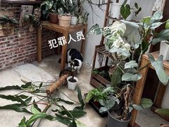 -自由生长植物工作室(深港花卉中心店)