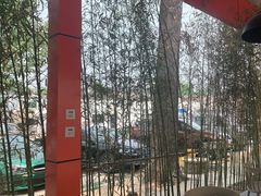-向外鱼乐·土菜·虹鳟鱼