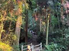 -峨眉山报国寺