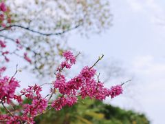 -大宁公园