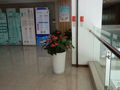 -上海市普陀区文化馆