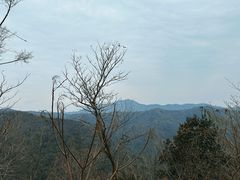-友琴面馆(东白溪公寓店)