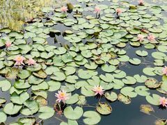 -白鹭湾湿地公园