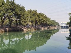 -小洲村