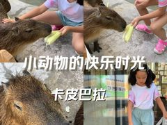 -廊坊固安福朋喜来登酒店