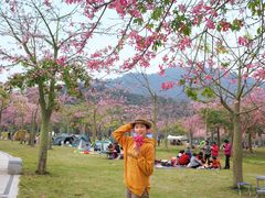 -风云岭森林公园