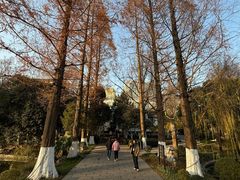 -包公祠