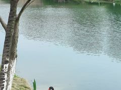 -瑶湖郊野森林公园