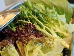 大盘生菜-韩一品韩国料理(柏庐南路店)