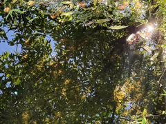 -仙店农庄(湖景农庄餐厅)