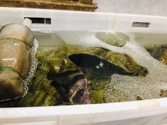 -阿杰臻选海鲜饭店(普陀山店)