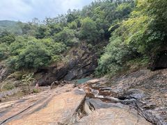 -广州白江湖森林公园