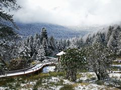 -硗碛藏寨·神木垒景区