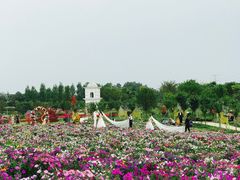 -紫颐香薰山谷景区