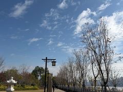 -江心屿景区