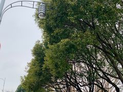 -昆山城市生态森林公园