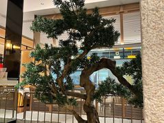 -十二粤味·顺德菜·烧鹅点心(五四广场店)