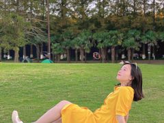 -黄海国家森林公园