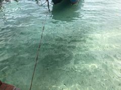 -东姑阿都拉曼海洋公园
