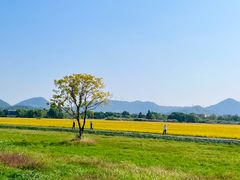-良渚古城遗址公园