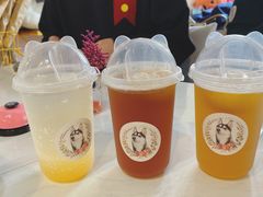 -Husky Go! 哈士奇体验馆·宠物咖啡厅狗咖