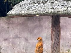 -宁波野生动物园