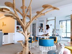 -泰国佛·塔罗·泰牌狐仙古曼