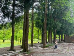 -山王坪喀斯特国家生态公园