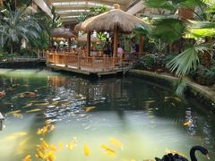 -南宫五洲植物乐园