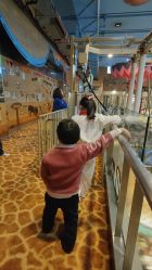 -卡通尼·Safari非洲探索乐园·生日会(金桥国际商业广场店)