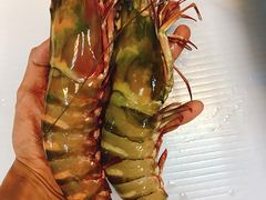 -ZF Seafood Restaurant 卓峰海鲜餐