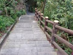 -羚羊峡古栈道森林公园