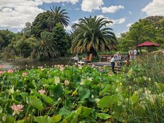 -墨尔本皇家植物园