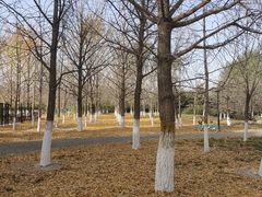 -欢乐星KTV全国连锁(盛融店)