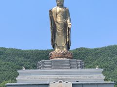 -中原大佛景区