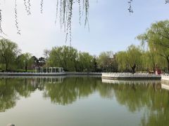 -丰台花园