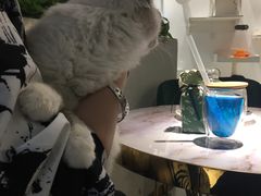 -喵喵咪呀布偶猫咖(春熙路店)