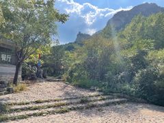 -云岫谷游猎自然风景区