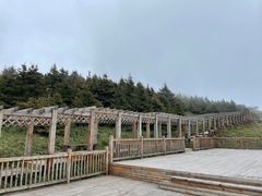 -白草畔自然风景区