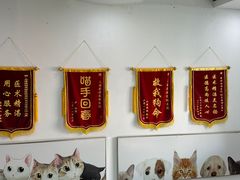 -爱侣宠医·鹦鹉专科·小型哺乳类·异宠专科(灵石路店)
