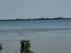 -江滩湿地公园