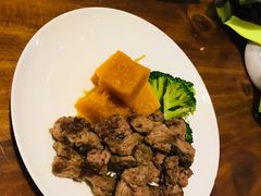 -百好乐宠物友好餐厅(朝外大街店)