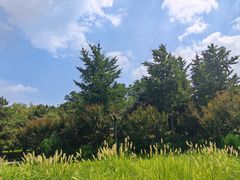 -玲珑塔公园