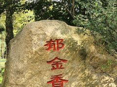 -黑龙江省森林植物园