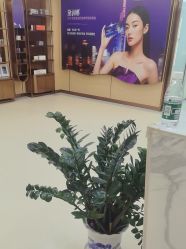 -南京康美美容医院·旗舰店