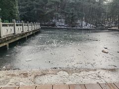-四明山国家森林公园